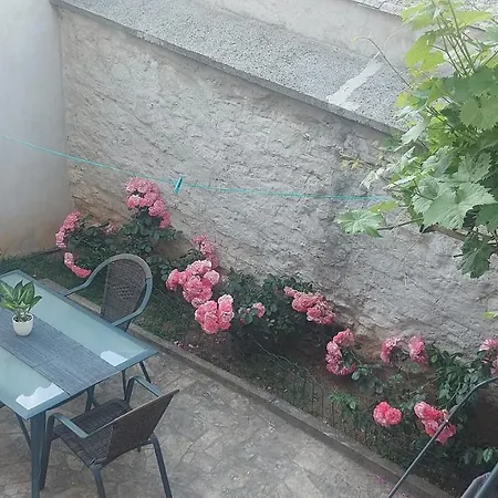Apartman Center Free Parking In Private Garage Lejlighed *